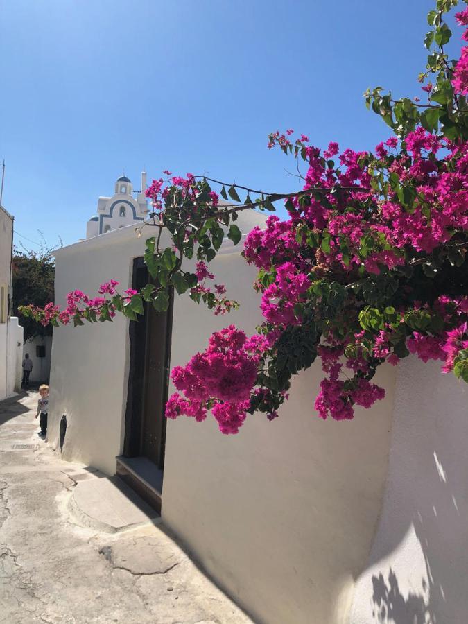 Angels Villa Santorini Megalochori  Exterior photo
